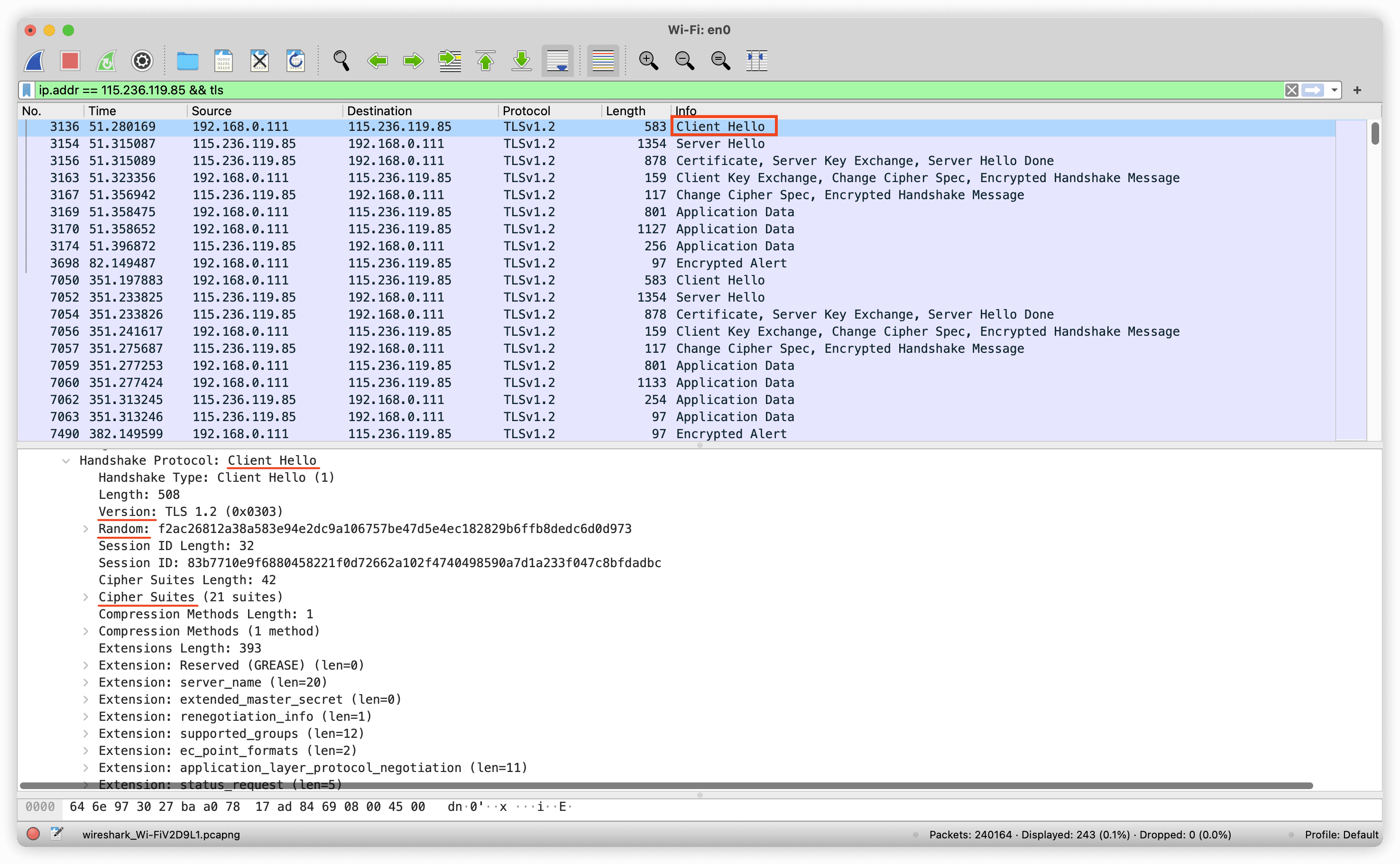 WireShark Capture